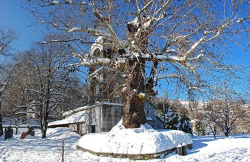 Traditional Stone House in pelion - Foto 21