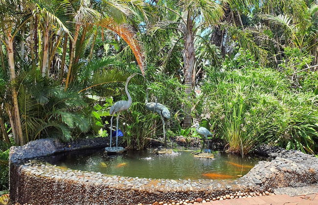 Zimbali beach estate - Foto 66