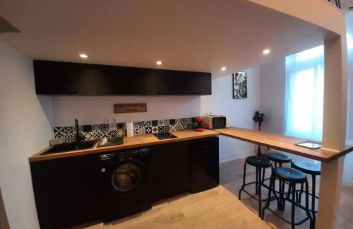 Toulouse centre Compans Caffarelli Superbe Studio - Foto 9