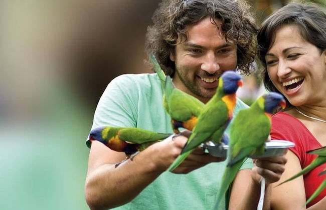 Iconic Kirra Beach Resort - Foto 71