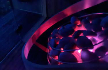 Chez Marguerite Shepherd's Hut with Private Sauna, Outside Bath - Photo 39