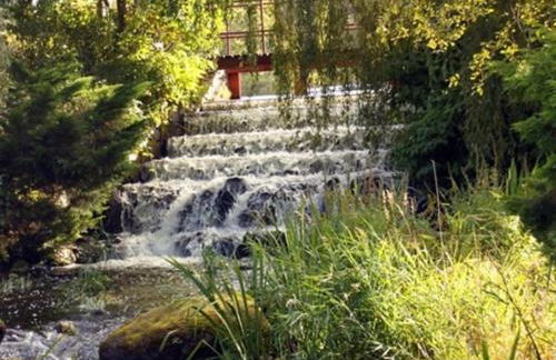 Eryri Lodge - Foto 17