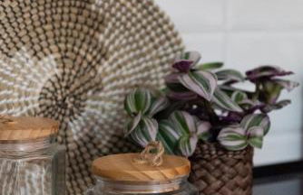 BOTANIC GUESTHOUSE ESTE - Foto 17