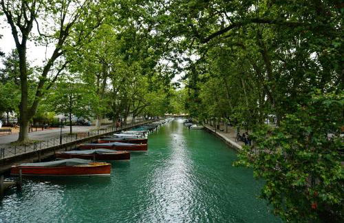 Villa & Appartments des Muriers - 500 m du Lac - Foto 48