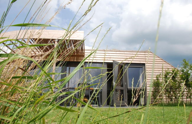 Peaceful Farmside Bungalow - Photo 28