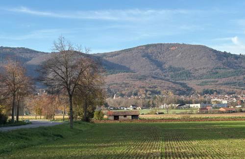 Gîte le Nid - Foto 24