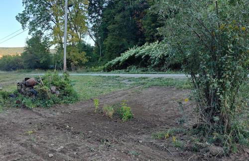 Unique Yet Cozy Victorian Home in Tioga County PA - Foto 23