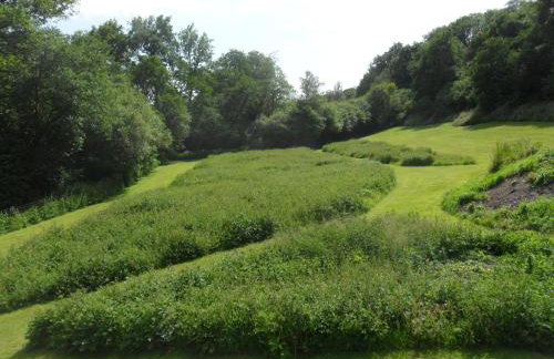 The Annexe Llandysul - Foto 14