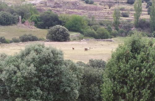 Mas de Muñoz - Foto 58