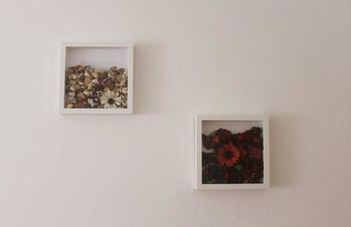 Casa das Flores - Foto 15