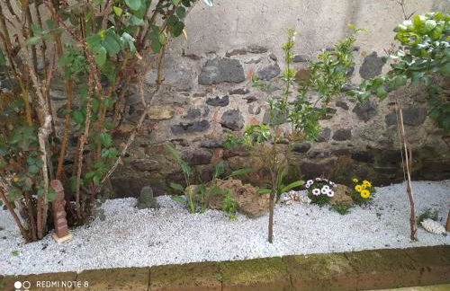 Diongard House - Foto 9