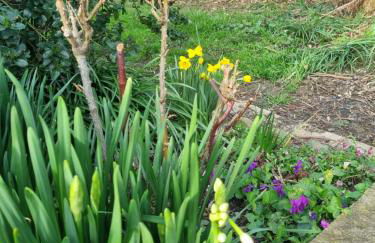 L'Oustalet classé 2 étoiles - Foto 13