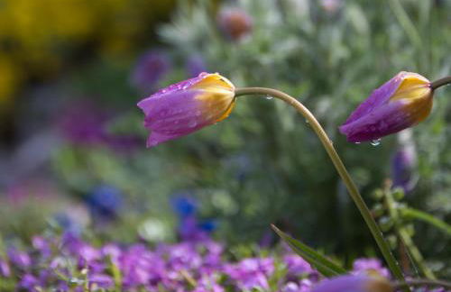 Haus Christl - Foto 9