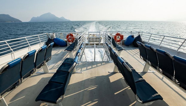 Excursión al Parque Nacional de los Fiordos de Kenai - Foto 4