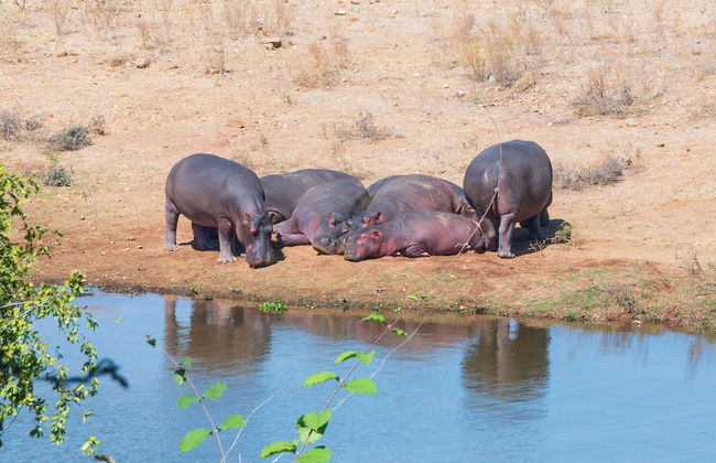 Cutty Sark Lodge - Foto 62