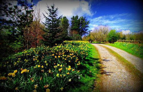 Clonaslee House - Foto 23