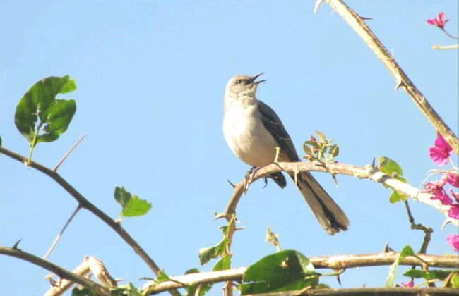 Casa Buen Aventura, Panajachel, Solola, Guatemala - Casa de Campo Familiar - Foto 11