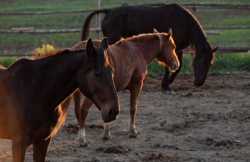 Locanda Fontelupa - Foto 86