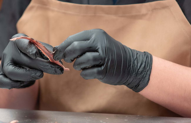 Escursione ad una fabbrica di acciughe a Santoña + Giro in barca - Foto 1