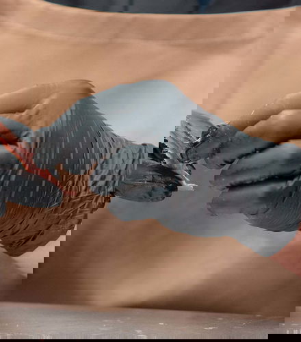 Foto de Excursión a una fábrica de anchoas de Santoña + Paseo en barco