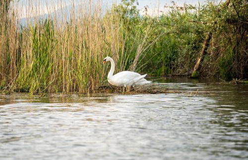Il Gesuita - Foto 34