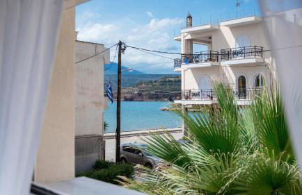 Coconut Blue - Photo 18