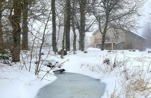 Le Chalet des Forêts Enchantées - Foto 43