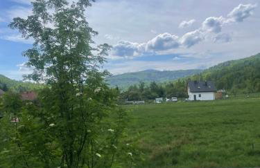 Dudkowe Domki w Beskidach- Relaks z Balią i Apiterapią - Foto 4