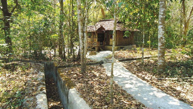 Halbtägige Cu Chi Tunnel Tour ab Hotel in Ho-Chi-Minh-Stadt - Foto 3