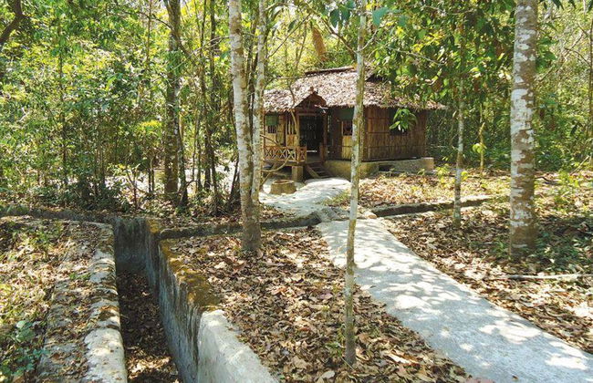 Halbtägige Cu Chi Tunnel Tour ab Hotel in Ho-Chi-Minh-Stadt - Foto 3