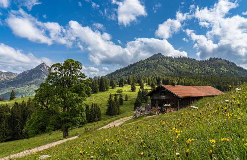 FeWo Armonie im Allgäu - Tischfußball & Dart, großer Südbalkon, gratis Erlebnisse mit Königscard - Foto 55