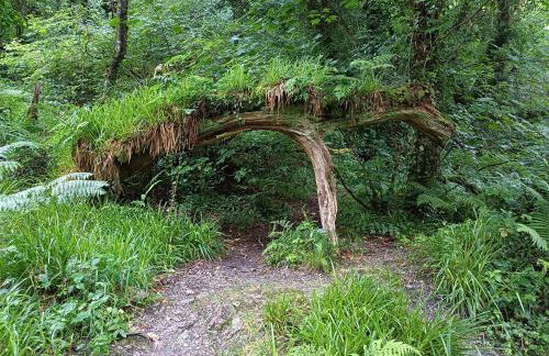 The Conifers 3 Room Small but Stylish Self Catering Bedsit Flat in Nature Reserve Free Eden taxi b4 9pm no lounge - Photo 34