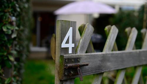 Studio agréable 300m Côte Sauvage - Foto 5, Garden, Garden view