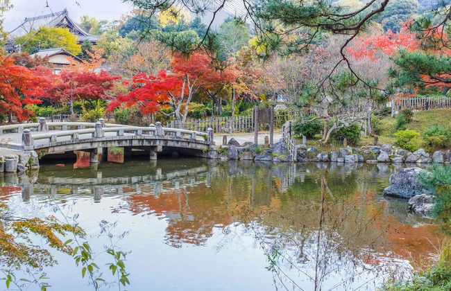 Tour privado por Kyoto - Foto 7