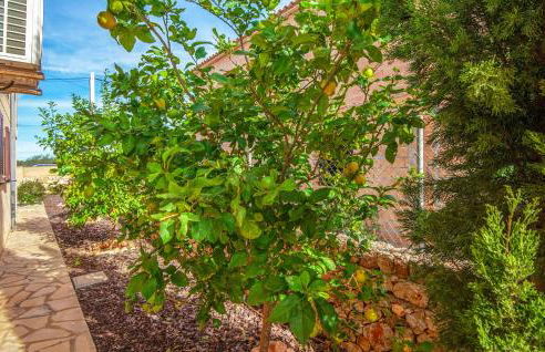 Casa Mirador - Foto 15