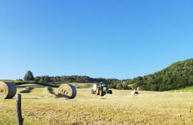 Agriturismo Bordigaie - Photo 17