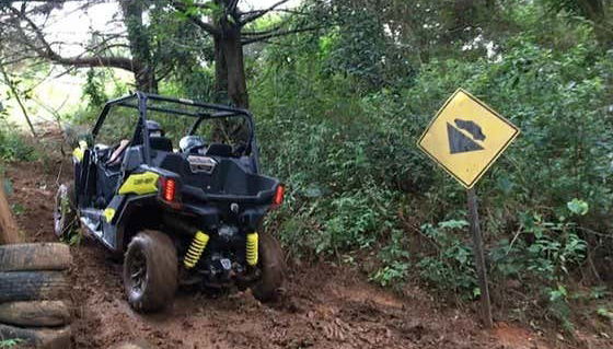 Explorez la nature de Monte Verde