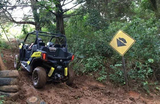 Tour en buggy por Monte Verde - Foto 2