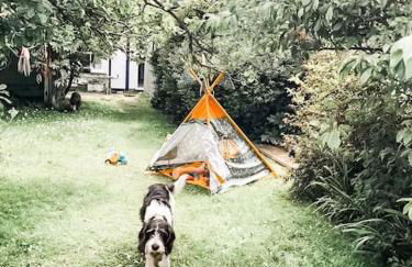 Charming Cornish Cottage, Portreath, Dogs Welcome - Foto 43