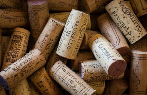 Tenuta San Filippo - Foto 34