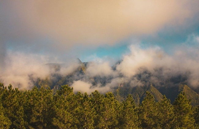 Chalé Sítio Corvo Branco - Photo 21