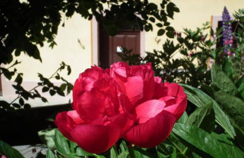 Chez le Marquis du Pontet - Foto 65