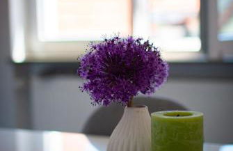 FerienwohnungHeimatgefühl - Foto 7