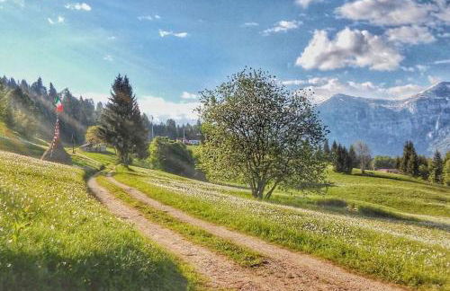 Casa nella Natura Il Risveglio degli Elfi - Foto 18