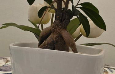 La dimora di Achille - Foto 7