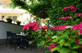 Weingut Göbel-Schausten - Foto 5