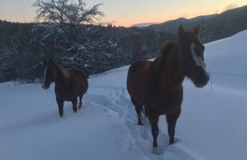 The Apartment at Sky Hollow - Foto 28