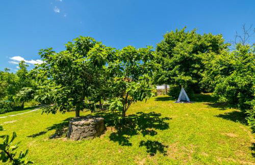 Casa de Campo - Olive House - Foto 9