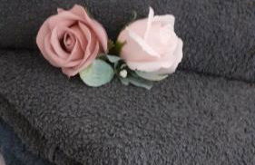 Quiétude au Bord de Loire. - Foto 17