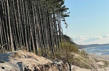 Apartamenty nad morzem Przy klifie 3 Dębina - Foto 68